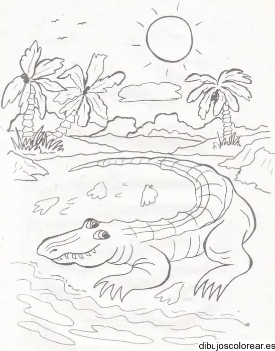 Dibujo de un lagarto