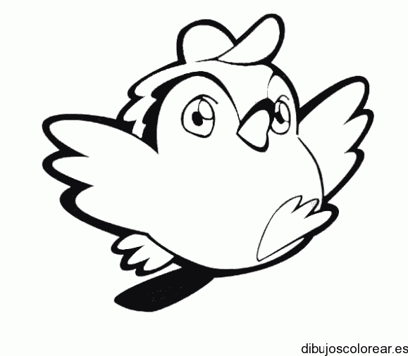 Pájaro