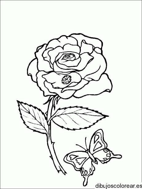Dibujo de una rosa con una mariposita