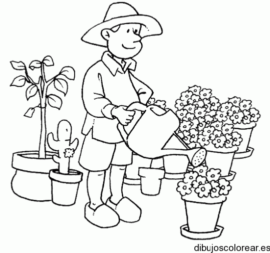 Dibujo de un jardinero