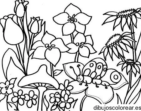 Dibujo de un jardín