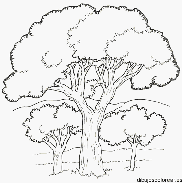 Dibujo de un pequeño bosque