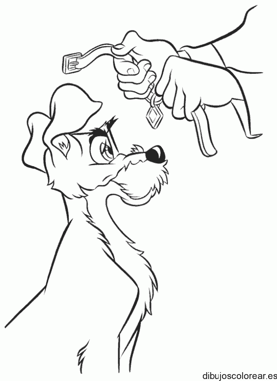 Perro amigable