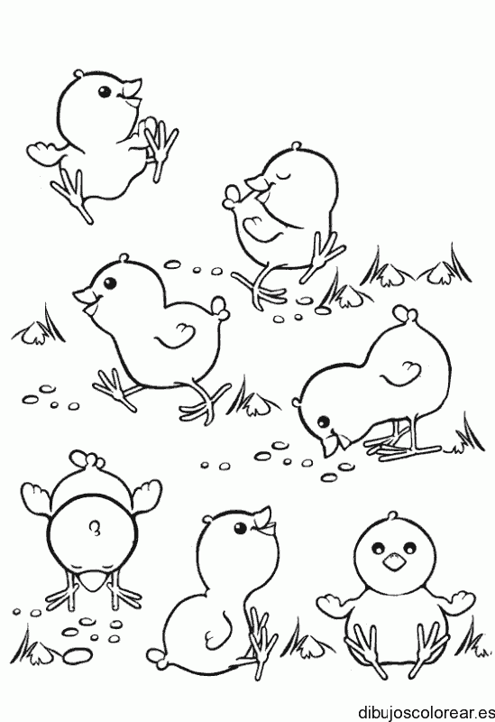 Dibujo de varios pollitos jugando