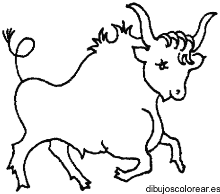 Dibujo de un pequeño toro