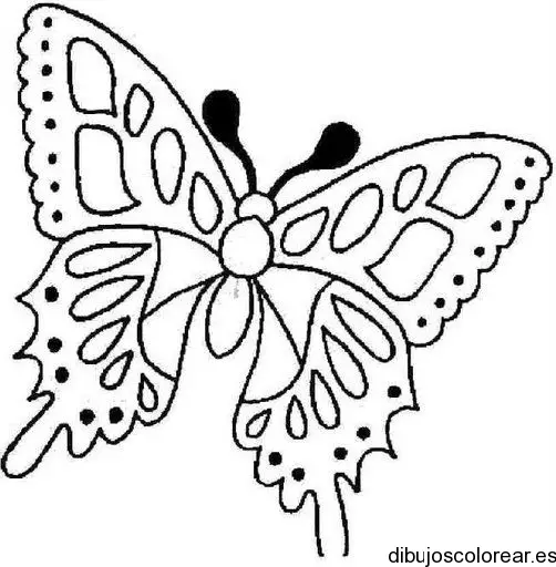 Dibujo de una mariposa volando 