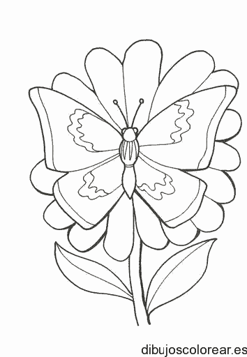 Dibujo de una mariposa en una flor 