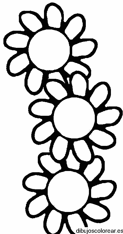 Dibujo con tres margaritas