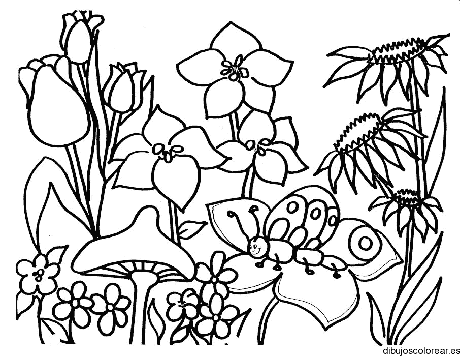 Dibujo de un insecto sobre una flor