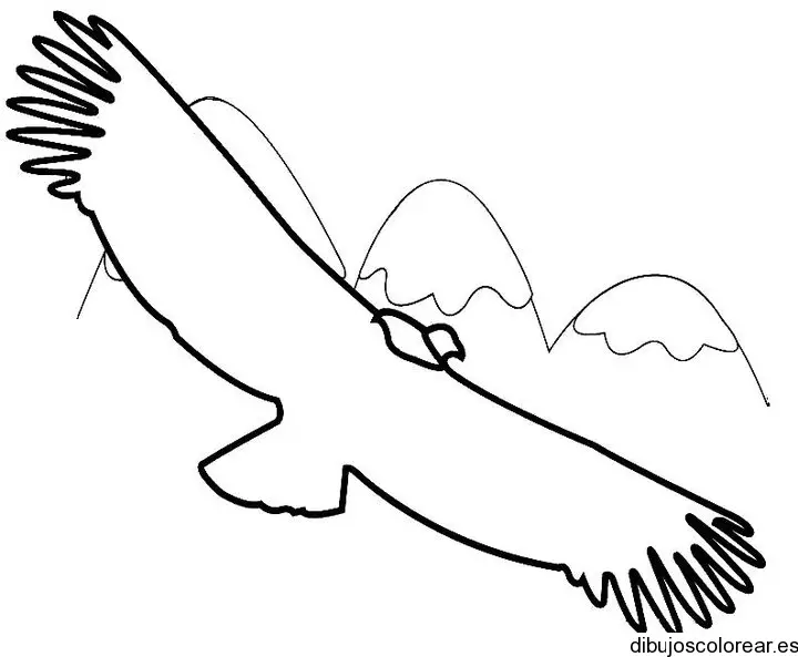 Dibujo de un ave sobre las montañas