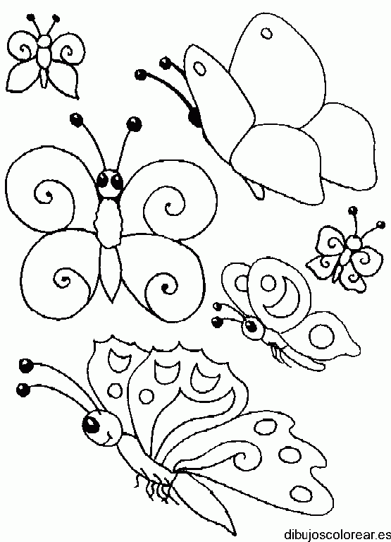 Dibujo colonia de mariposas
