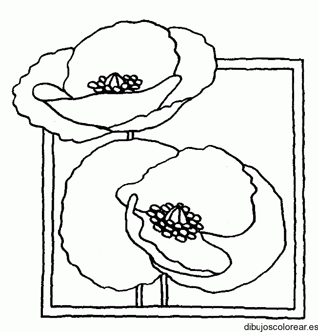Dibujo de un cuadro con flores