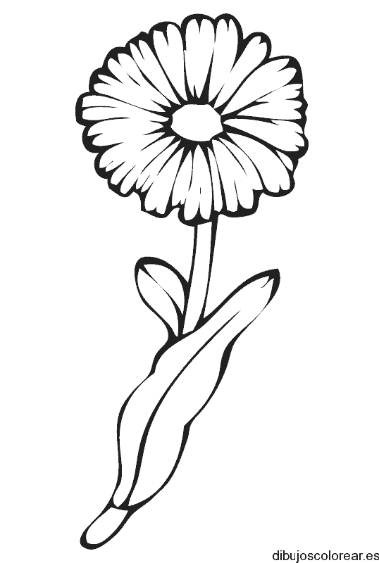 Dibujo de un pequeño girasol