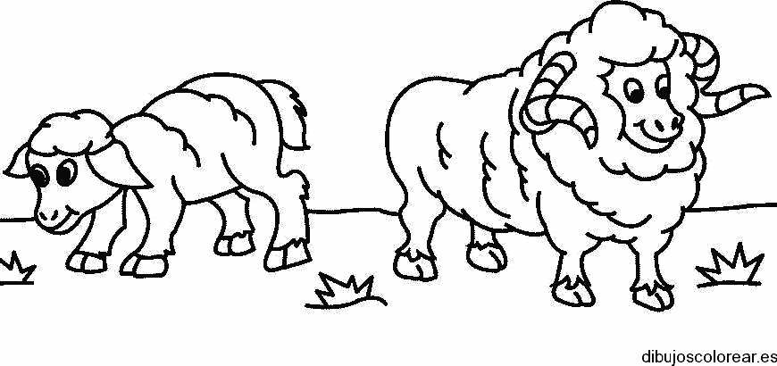 Dibujo de dos ovejas 