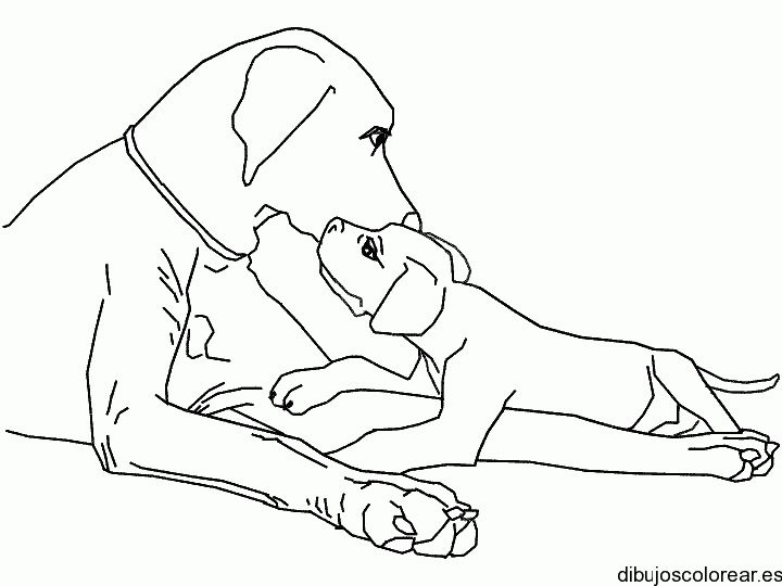 Dibujo de un perro y su cachorro