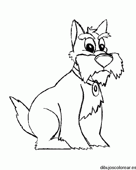 Dibujo de un perro con collarín