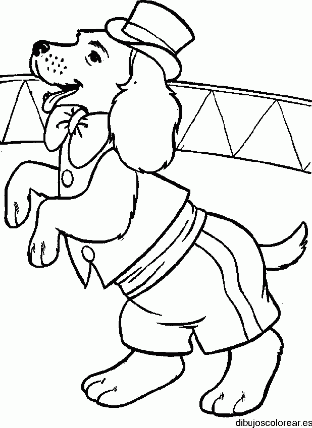 Dibujo de un perro actor