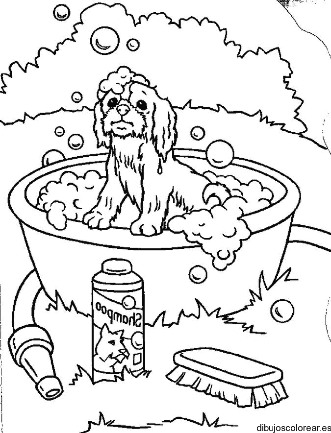 Dibujo de un perro en una bañera