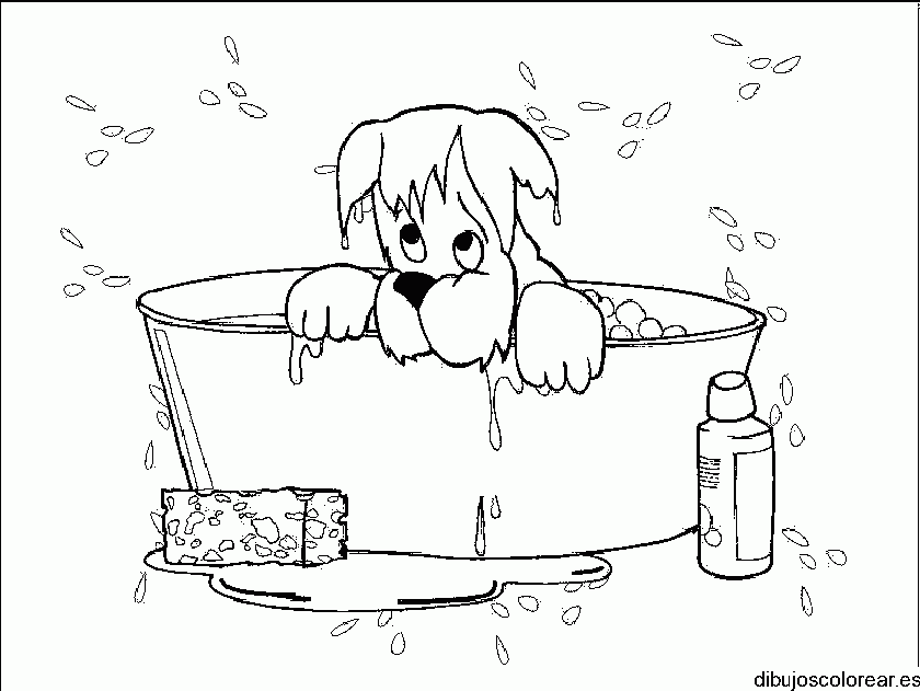 Dibujo de un perro en la ducha