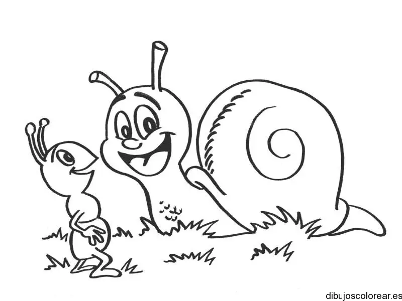 Dibujo de un caracol y una hormiga