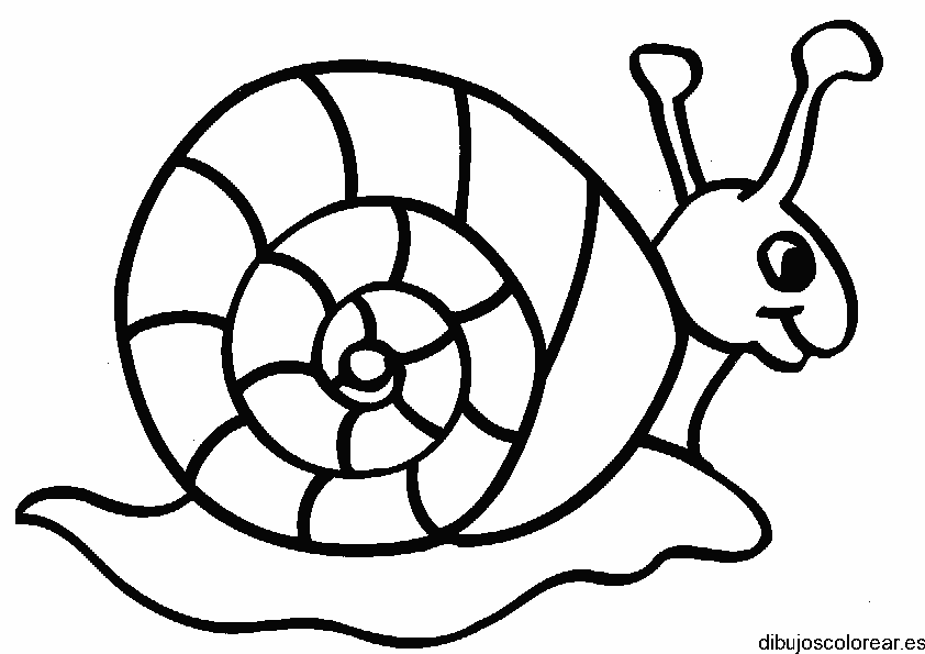 Dibujo de un caracol en un camino