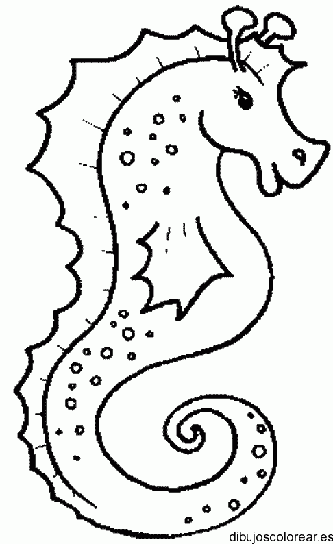 Dibujo de un caballo de mar