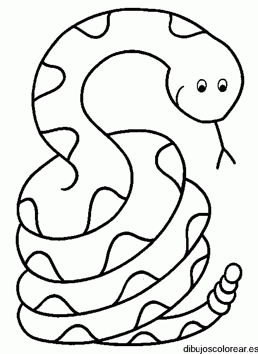 Dibujo de una serpiente enroscada