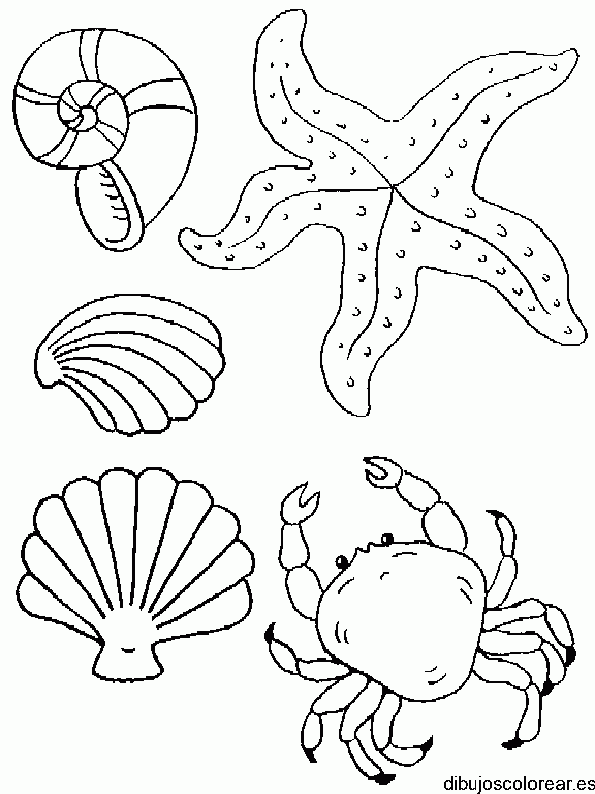 Dibujo de cangrejo