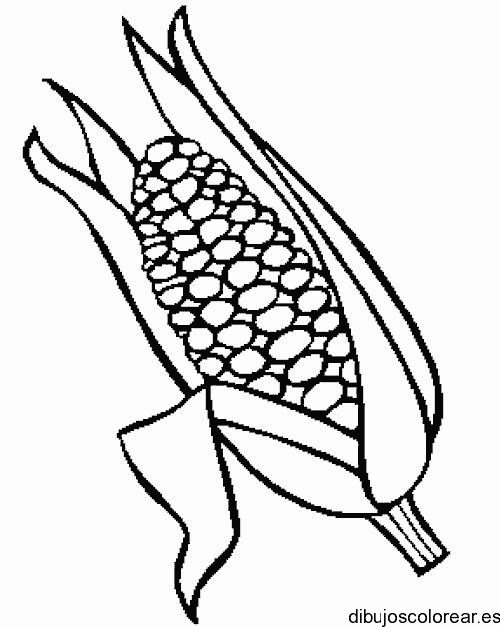 Dibujo de  mazorca de maíz 