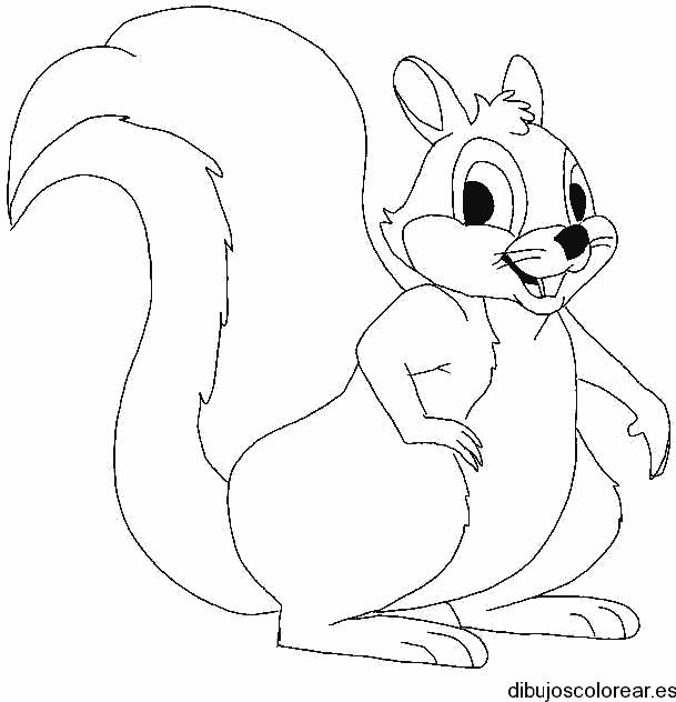 Dibujo de una alegre ardilla
