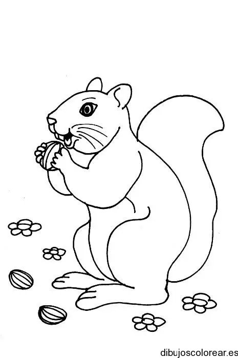 Dibujo de una ardilla comiendo nueces