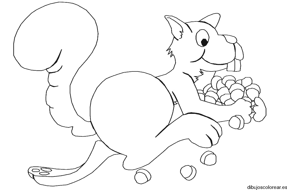 Dibujo de una ardilla con muchas nueces