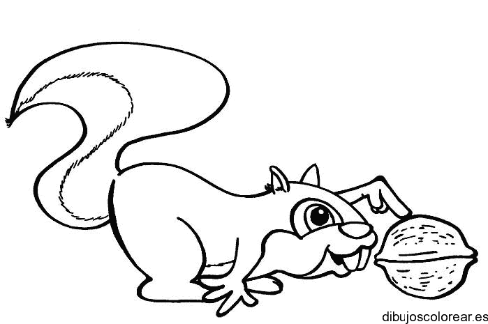 Dibujo de una ardilla con una nuez