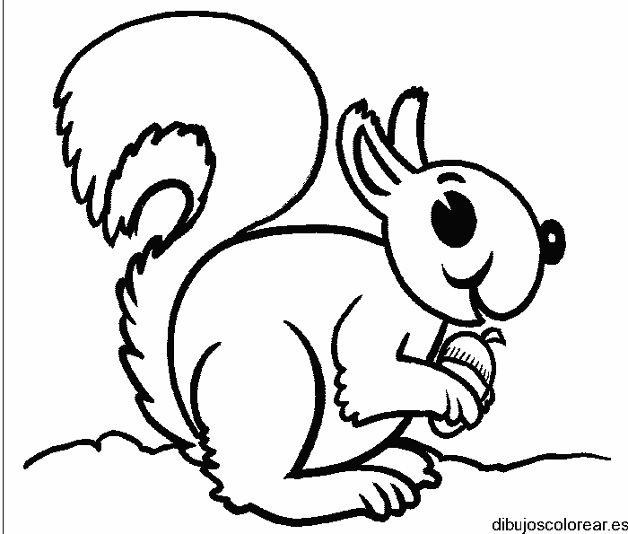 Dibujo de una pequeña ardilla saboreando nuez