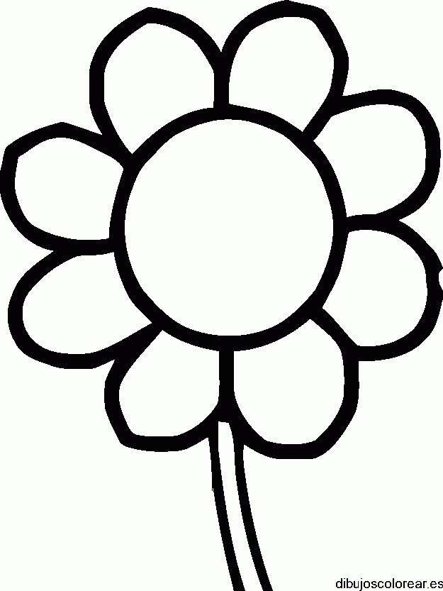 Dibujo de una gran flor
