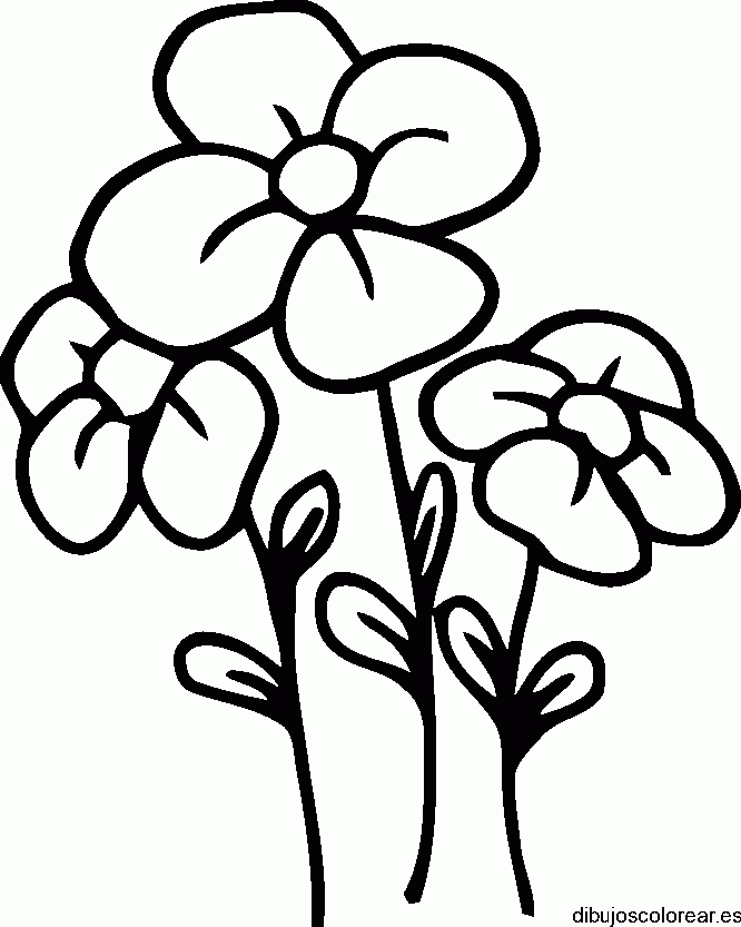 Dibujo de tres pequeñas margaritas