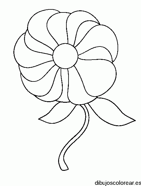 Dibujo de una margarita mediana