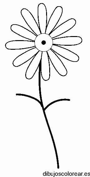 Dibujo de pequeña margarita