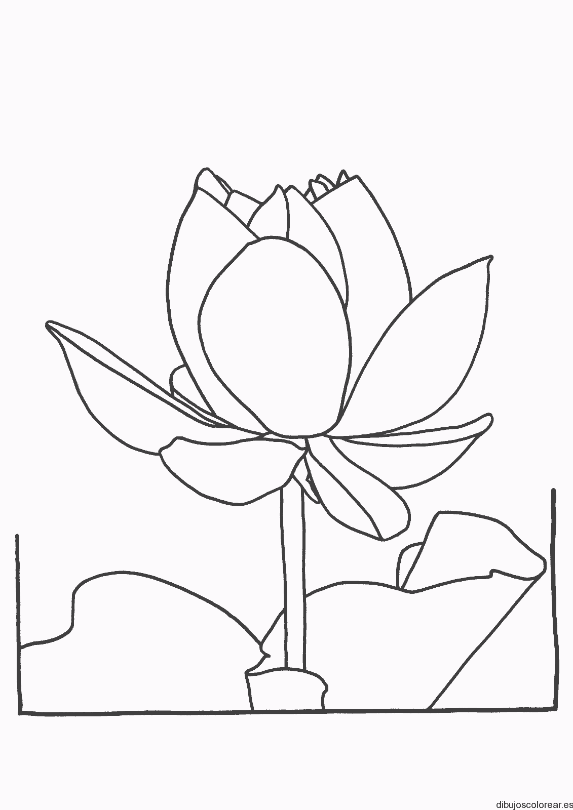 Dibujo de una rosa grande