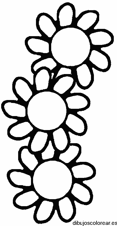 Dibujo de tres margaritas