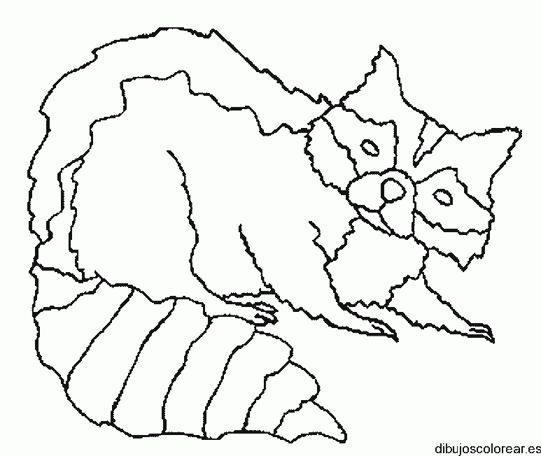 Dibujo de un mapache