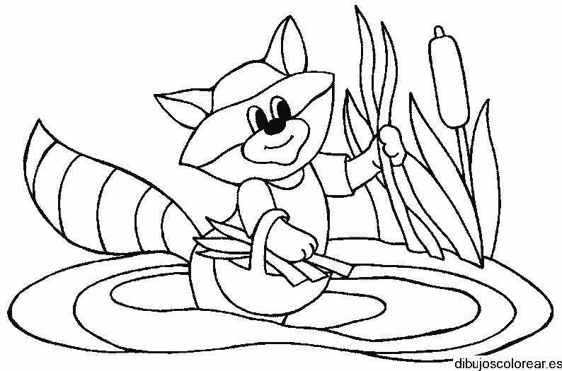 Dibujo de un mapache en el bosque