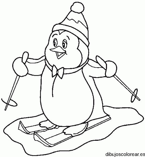 Dibujo de un pingüino con gorro