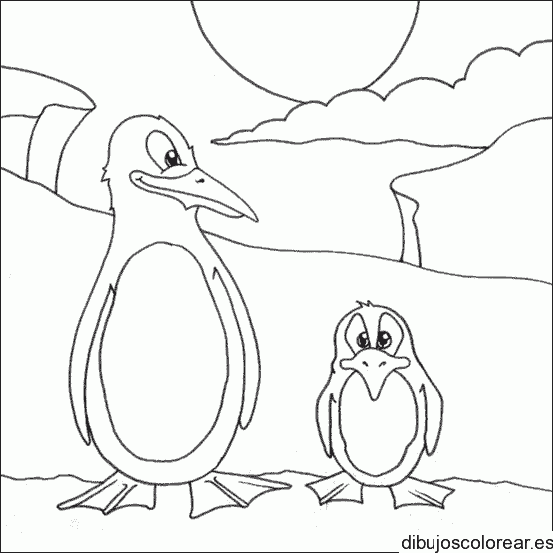 Dibujo de pinguinos 