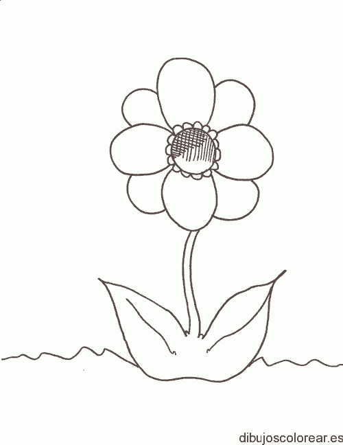 Dibujo de una margarita