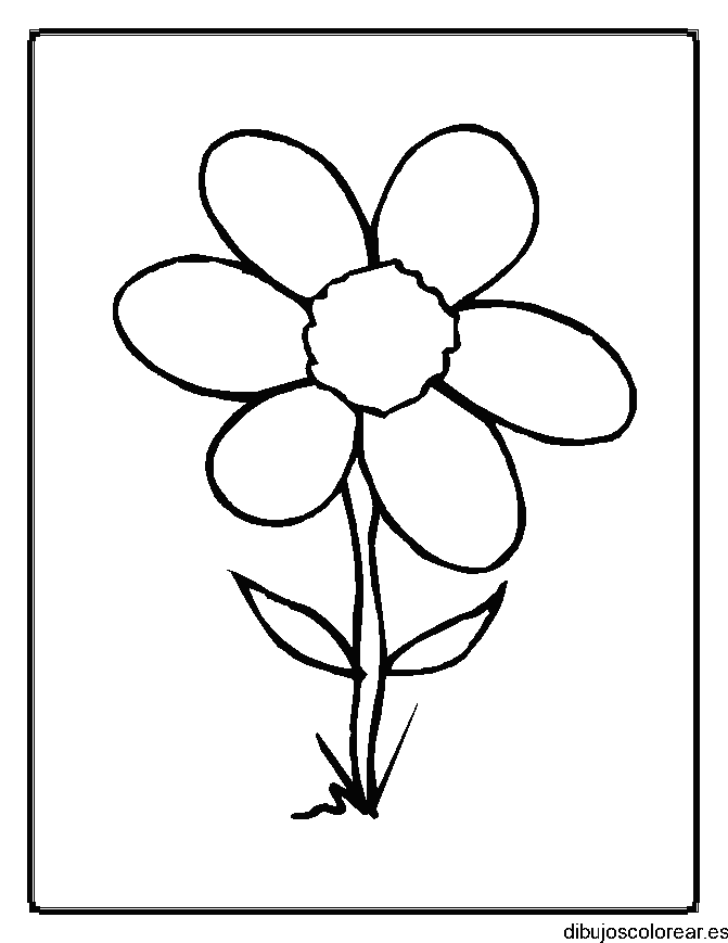 Dibujo de una margarita grande