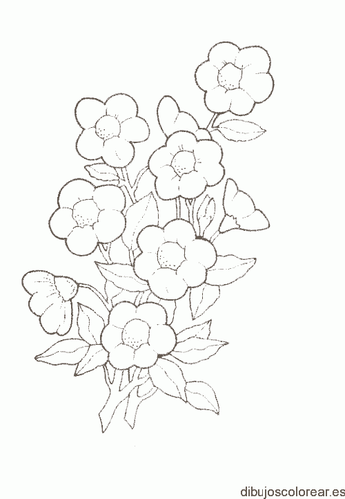 Dibujo de un ramo de rosas pequeñas