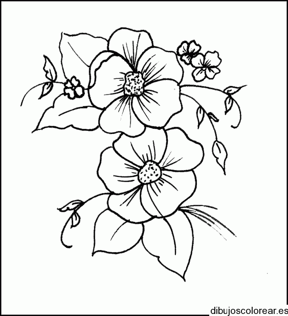 Dibujo de dos flores en un marco