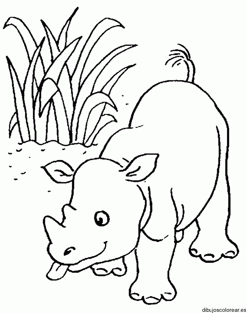 Dibujo de un bebe rinoceronte 