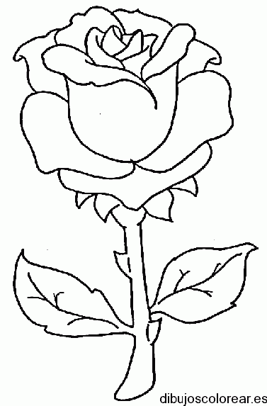 Dibujo de una rosa y tallo grueso